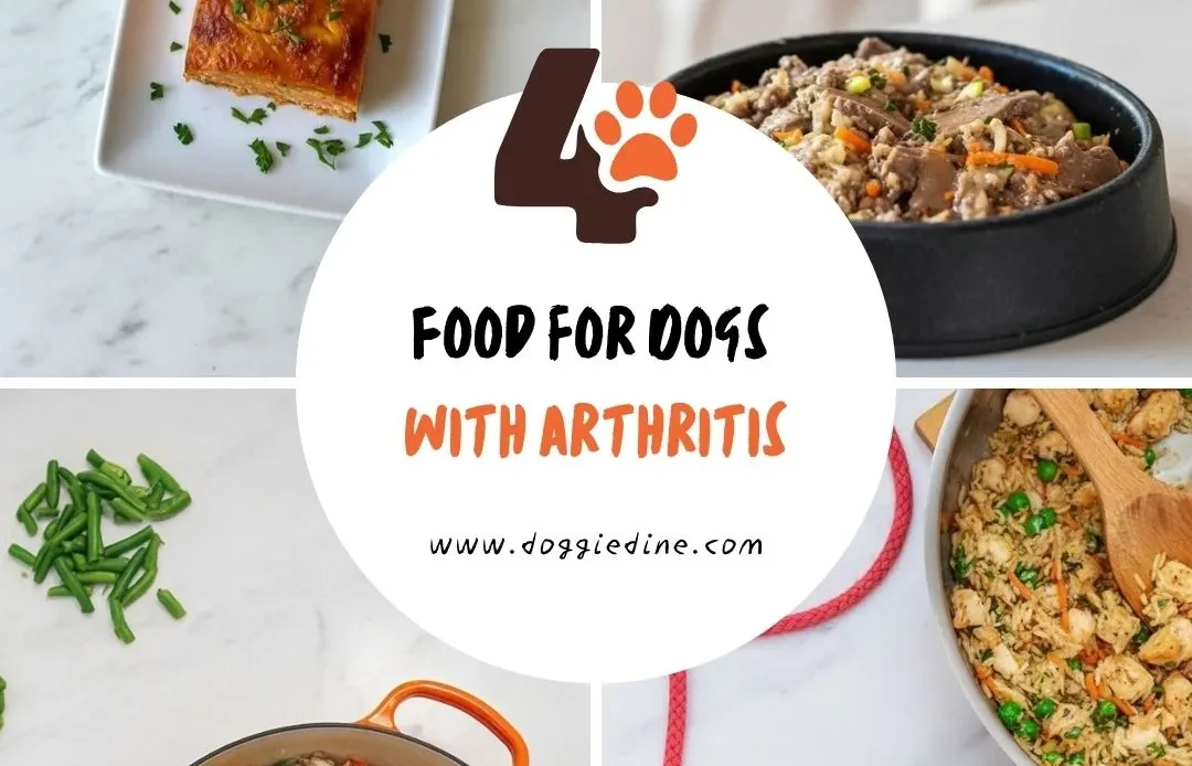 4 Vet-Approved Food for Dogs with Arthritis