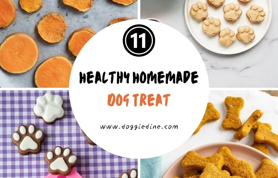 11 Healthy Homemade Dog Treat
