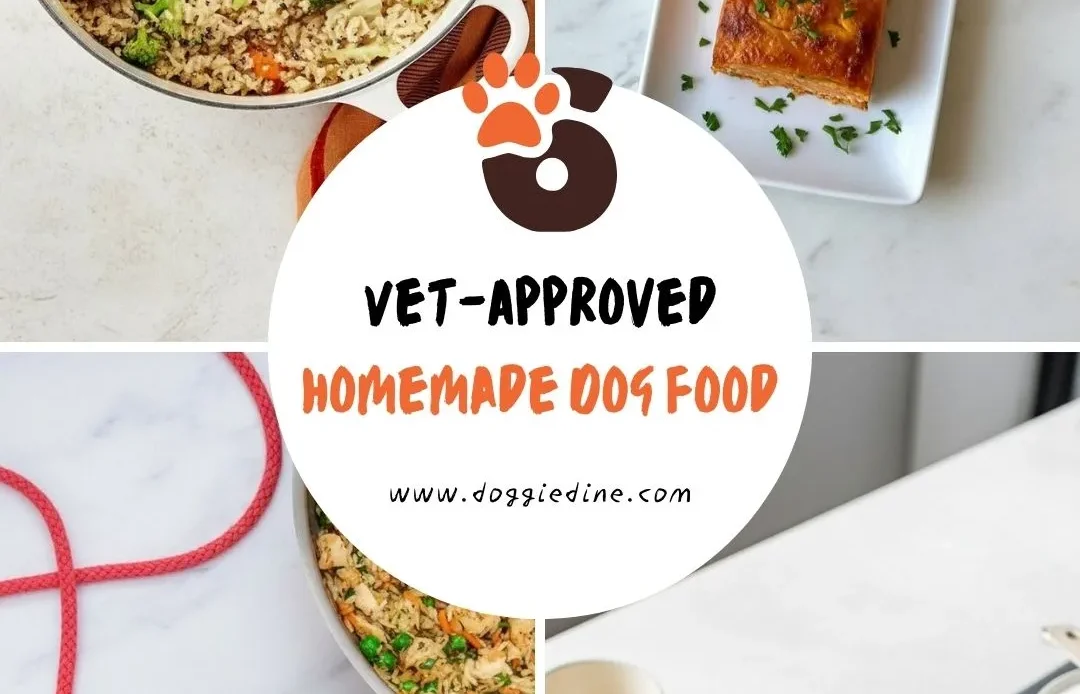 6 Best Vet-Approved Homemade Dog Food Recipes