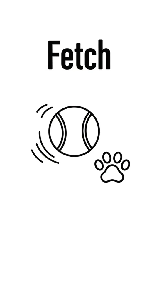 5 Best Cavalier King Charles Spaniel Games